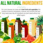 Protein Cleanse
